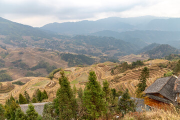Longsheng Longji Rice terraces (Dragon's backbone). About 100 kilometres from Guilin. Guangxi, Lingchuan County, China.