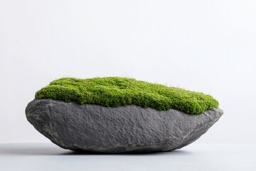 Close-up view of a moss-covered stone illuminated by natural light in a serene setting
