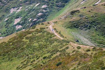 winding road in the mountains