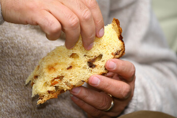 Senior man breaking a slice of panettone, traditional italian christmas cake