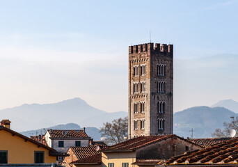 Guinigi tower rising above lucca rooftops with tuscan mountains in the background