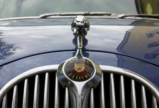 DUINO AURISINA, Italy - October 25, 2024: Detail of the front of the Jaguar 240 vintage car, produced in the years 1967-1969, with a close-up of the Jaguar symbol
