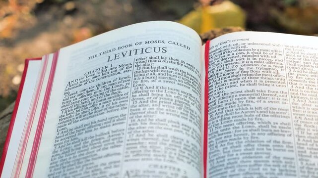 Leviticus chapter of Holy Bible book