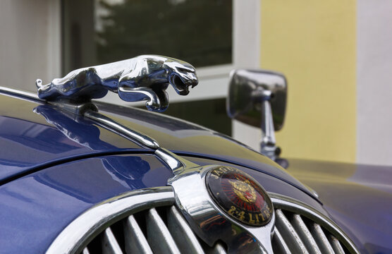 DUINO AURISINA, Italy - October 25, 2024: Detail of the front of the Jaguar 240 vintage car, produced in the years 1967-1969, with a close-up of the Jaguar symbol