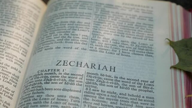 Zechariah, chapter of Holy Bible book