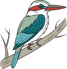 Vector Drawing of Woodland kingfisher 