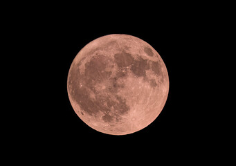 Strawberry full moon glowing orange in the night sky over Ottawa, Canada June 4, 2023