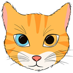 Fototapeta premium Cat