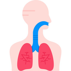 Respiratory System Icon