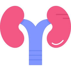 Kidneys Icon