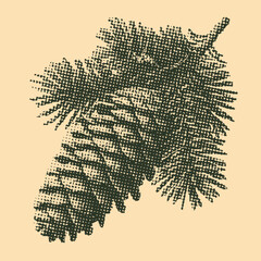 pine cone vintage illustration, retro halftone effect style