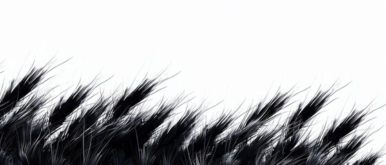 Obraz premium A rice plant silhouette, botanical element, 3D render, natural tones, isolated on white background