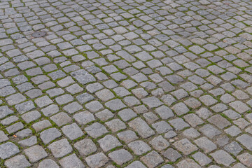 Close-up of a cobblestone pavement with irregularly shaped gray stones and green moss growing...