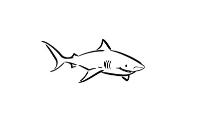 Obraz premium The image features a shark line theme against a white background. The base is modern.