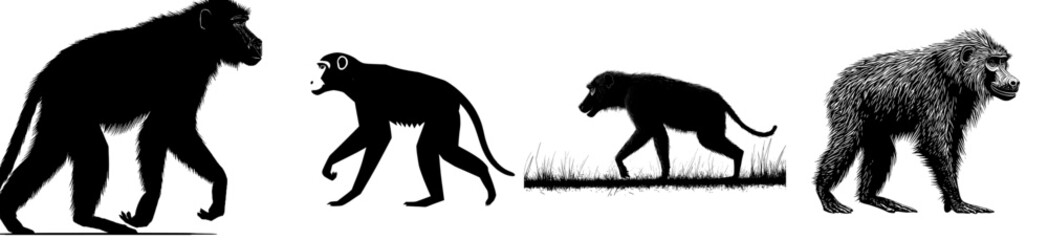Symbol of the primate monkey. Black silhouette. Zoo animal.