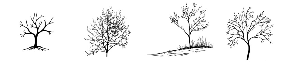 The silhouette of an old, dry, bare tree on a white background is a sketch drawn by hand.
