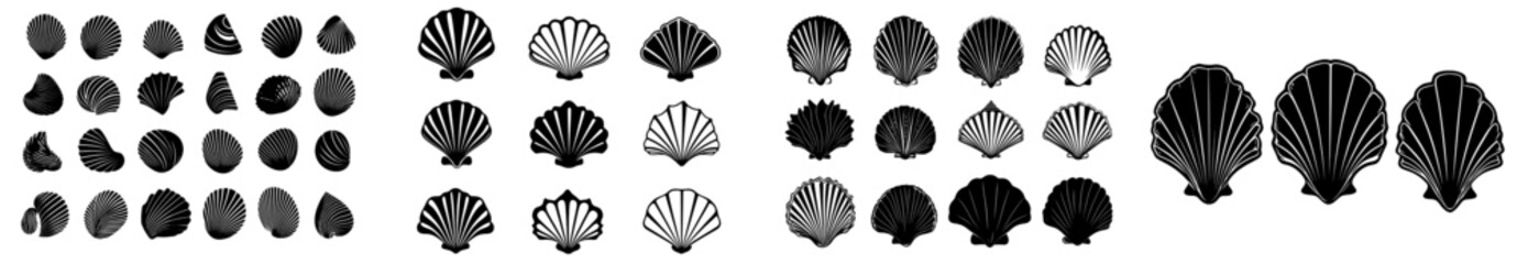Shell silhouettes collection in flat style on white background. Seashell shapes isolated from the background.