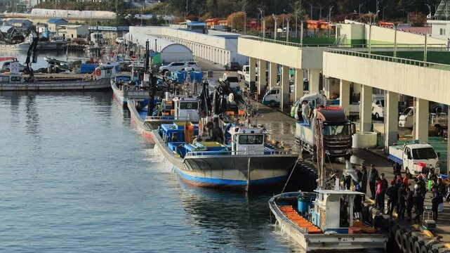 Fishers Docked at Daepo Port