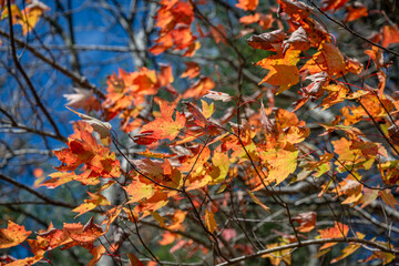 black rock lake, Georgia