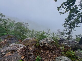 Young traveler and explorer is hiking in the mountains or forest with a backpack in the rainy season and a walking stick.