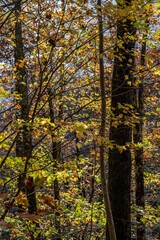 black rock lake, Georgia