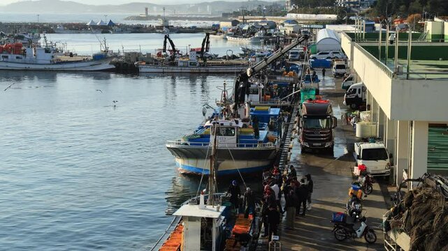 Fishers Unloading Boats at Daepo Port