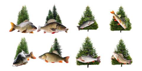 Fish Collection with Christmas Trees Background, PNG collection, set bundle, isolate on transparent or white background