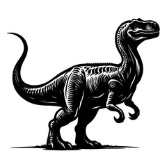 It's a dinosaur picture, So beautiful picture, And used for general use.