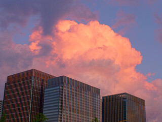 丸の内のビルの上の夕日に照らされる雲	