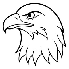 eagle head vector illustration