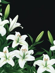 Obraz premium Elegant White Lilies Against Black Background
