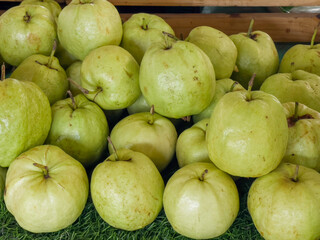 Fresh organic vegetables at local farmers market