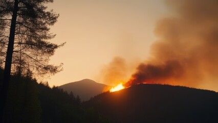 Fototapeta premium In the morning in the mountains, in the forest there is a small fire with smog