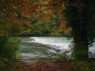 Travel to Slunj in Croatia. Breathtaking view on forest near Korana river, beautiful countryside landscape, early autumn, with hints of green transitioning to yellow. seasonal change