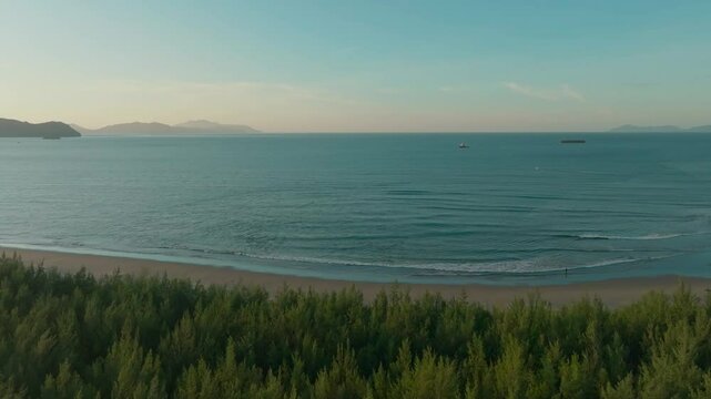 Aerial view of an island filled with coastal sea oak at sunset