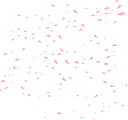 falling flower petals, blossom spring © raisadsign