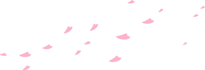 falling flower petals, blossom spring