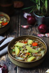 A bowl with traditional German dish - stew Eintopf