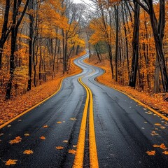 Obraz premium Explore the serene beauty of a deserted road winding through an autumn forest landscape