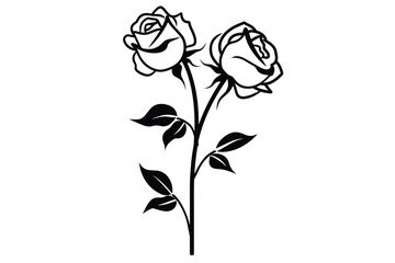 Black and white illustration of two blooming roses with leaves on a single stem, highlighting elegance and simplicity.