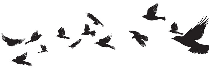 Obraz premium A flock of silhouetted birds soaring gracefully in the sky, captured in mid-flight against a stark white background, conveying a sense of freedom and motion.