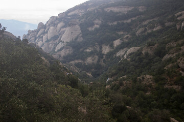 Naklejka premium mountain tops in fog and clouds, covered with forests.