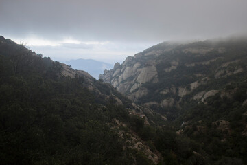 mountain tops in fog and clouds, covered with forests.