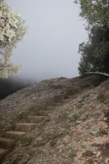 stone steps in the mountains going up; misty morning in the mountains