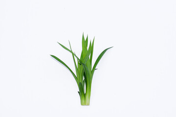 Pandan leaves (Pandanus amaryllifolius). Leaves are natural dyes and alternative ingredients for herbal medicine. Leaf texture. Food fragrance