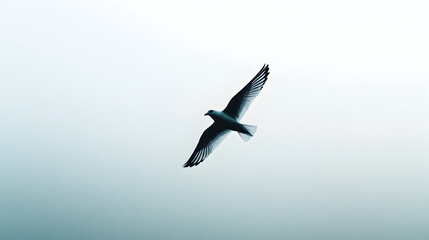 Obraz premium A minimalist bird in flight, symbolizing freedom from stress and emotional release.