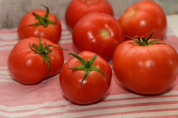 Freshly picked ripe tomatoes arranged artistically on a striped kitchen towel, showcasing vibrant colors and shapes