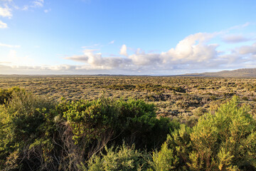 A Serene Panorama of the Coastal Mallee Scrub, Wilsons Prom, Australia