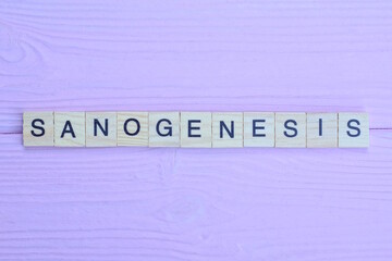 word sanogenesis from gray wooden small letters with black font on an pink background