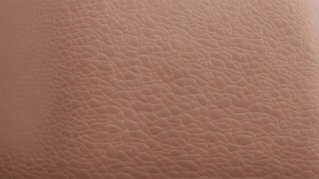 Detailed texture of skin with a soft matte finish slight imperfections visible under soft lighting, AI Generated